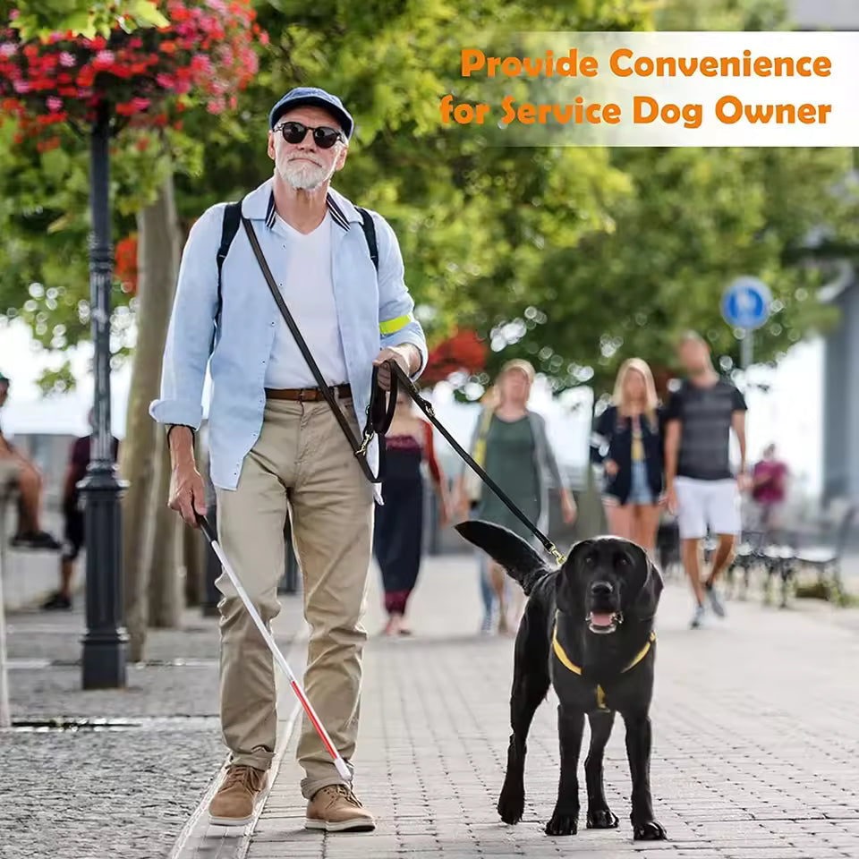 Hands-Free Adjustable Dog Leash for Active Pet Training - Get Active Here