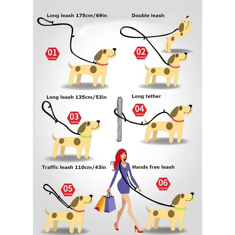 Hands-Free Adjustable Dog Leash for Active Pet Training - Get Active Here